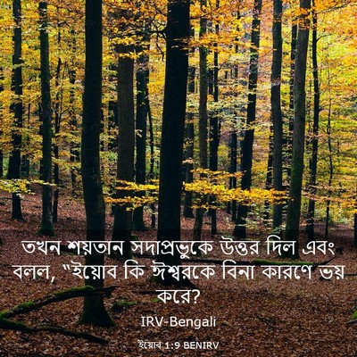 Picture 03 - ইয়োব 1:9 BENIRV - তখন শয়তান - Bible Verse Picture