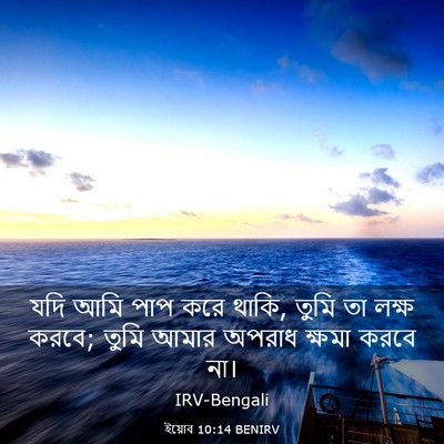 Picture 03 - ইয়োব 10:14 BENIRV - যদি আমি পাপ করে - Bible Verse Picture