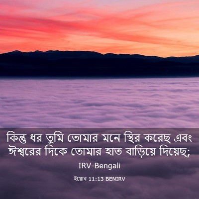 Picture 03 - ইয়োব 11:13 BENIRV - কিন্তু ধর তুমি - Bible Verse Picture