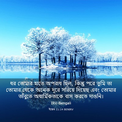 Picture 03 - ইয়োব 11:14 BENIRV - ধর তোমার হাতে - Bible Verse Picture