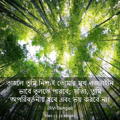 Picture 03 - ইয়োব 11:15 BENIRV - তাহলে তুমি নিশ্চই - Bible Verse Picture