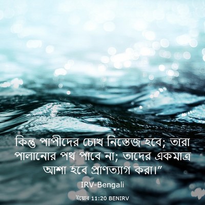 Picture 03 - ইয়োব 11:20 BENIRV - কিন্তু পাপীদের - Bible Verse Picture
