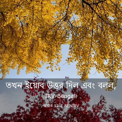 Picture 03 - ইয়োব 12:1 BENIRV - তখন ইয়োব উত্তর - Bible Verse Picture