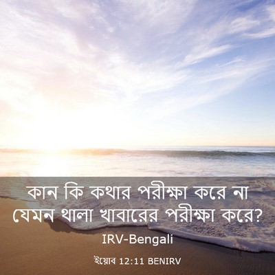Picture 03 - ইয়োব 12:11 BENIRV - কান কি কথার - Bible Verse Picture
