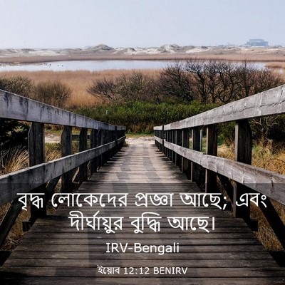 Picture 03 - ইয়োব 12:12 BENIRV - বৃদ্ধ লোকেদের - Bible Verse Picture