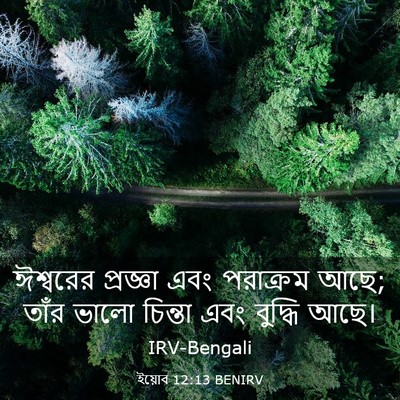 Picture 03 - ইয়োব 12:13 BENIRV - ঈশ্বরের প্রজ্ঞা - Bible Verse Picture