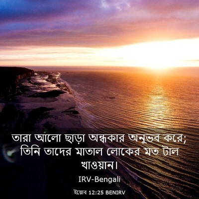 Picture 03 - ইয়োব 12:25 BENIRV - তারা আলো ছাড়া - Bible Verse Picture