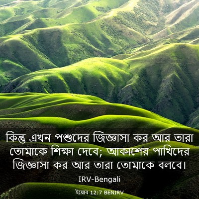 Picture 03 - ইয়োব 12:7 BENIRV - কিন্তু এখন পশুদের - Bible Verse Picture