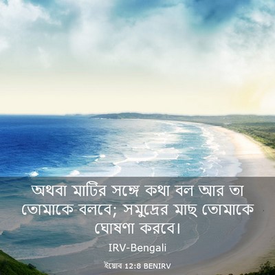 Picture 03 - ইয়োব 12:8 BENIRV - অথবা মাটির সঙ্গে - Bible Verse Picture