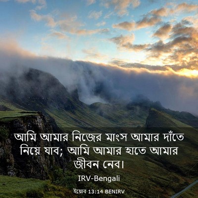 Picture 03 - ইয়োব 13:14 BENIRV - আমি আমার নিজের - Bible Verse Picture