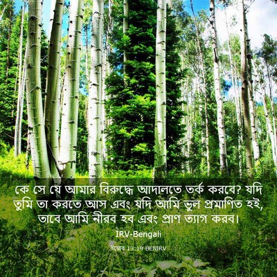 Picture 03 - ইয়োব 13:19 BENIRV - কে সে যে আমার - Bible Verse Picture