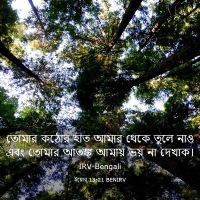 Picture 03 - ইয়োব 13:21 BENIRV - তোমার কঠোর হাত - Bible Verse Picture