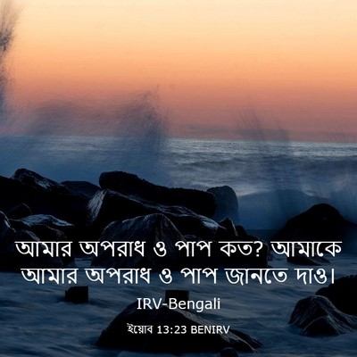 Picture 03 - ইয়োব 13:23 BENIRV - আমার অপরাধ ও পাপ - Bible Verse Picture