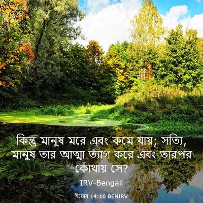 Picture 03 - ইয়োব 14:10 BENIRV - কিন্তু মানুষ মরে - Bible Verse Picture