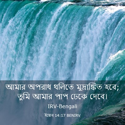 Picture 03 - ইয়োব 14:17 BENIRV - আমার অপরাধ থলিতে - Bible Verse Picture