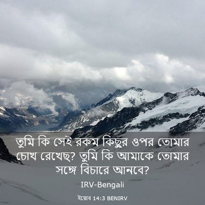 Picture 03 - ইয়োব 14:3 BENIRV - তুমি কি সেই রকম - Bible Verse Picture