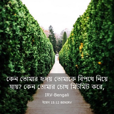 Picture 03 - ইয়োব 15:12 BENIRV - কেন তোমার হৃদয় - Bible Verse Picture