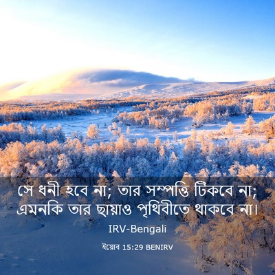 Picture 03 - ইয়োব 15:29 BENIRV - সে ধনী হবে না; তার - Bible Verse Picture