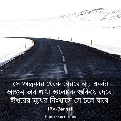 Picture 03 - ইয়োব 15:30 BENIRV - সে অন্ধকার থেকে - Bible Verse Picture
