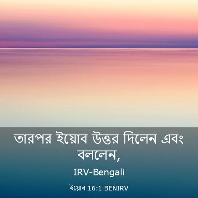 Picture 03 - ইয়োব 16:1 BENIRV - তারপর ইয়োব উত্তর - Bible Verse Picture