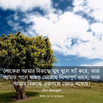 Picture 03 - ইয়োব 16:10 BENIRV - লোকেরা আমার - Bible Verse Picture