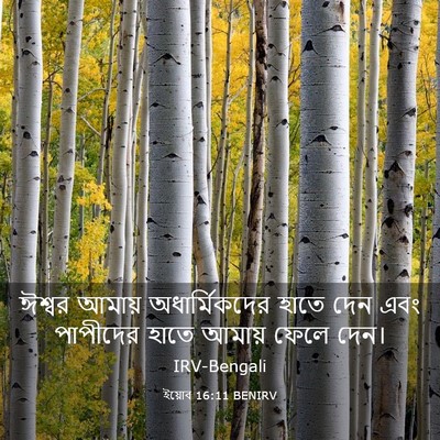 Picture 03 - ইয়োব 16:11 BENIRV - ঈশ্বর আমায় - Bible Verse Picture