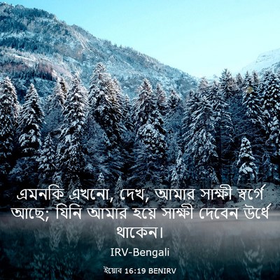Picture 03 - ইয়োব 16:19 BENIRV - এমনকি এখনো, দেখ, - Bible Verse Picture
