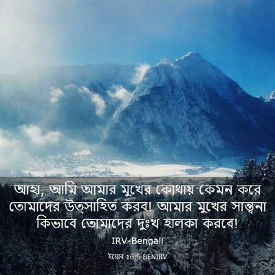 Picture 03 - ইয়োব 16:5 BENIRV - আহা, আমি আমার মুখের - Bible Verse Picture