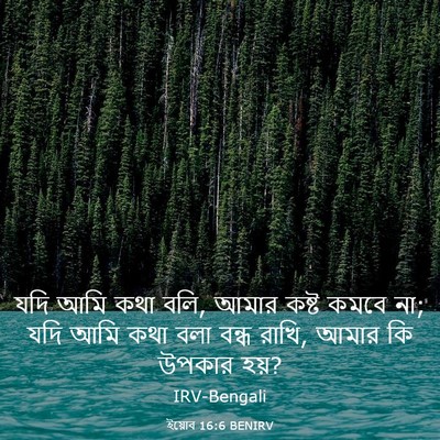 Picture 03 - ইয়োব 16:6 BENIRV - যদি আমি কথা বলি, - Bible Verse Picture
