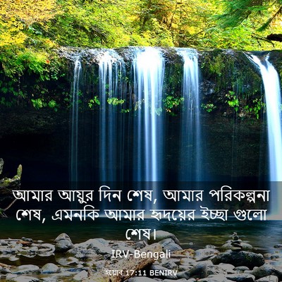 Picture 03 - ইয়োব 17:11 BENIRV - আমার আয়ুর দিন শেষ, - Bible Verse Picture