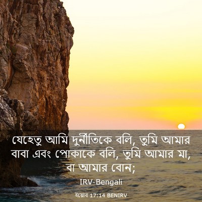 Picture 03 - ইয়োব 17:14 BENIRV - যেহেতু আমি - Bible Verse Picture