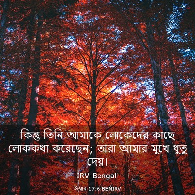 Picture 03 - ইয়োব 17:6 BENIRV - কিন্তু তিনি আমাকে - Bible Verse Picture