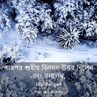 Picture 03 - ইয়োব 18:1 BENIRV - তারপর শুহীয় - Bible Verse Picture