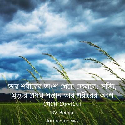 Picture 03 - ইয়োব 18:13 BENIRV - তার শরীরের অংশ - Bible Verse Picture
