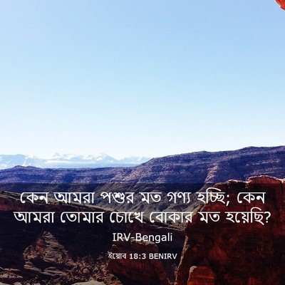 Picture 03 - ইয়োব 18:3 BENIRV - কেন আমরা পশুর মত - Bible Verse Picture