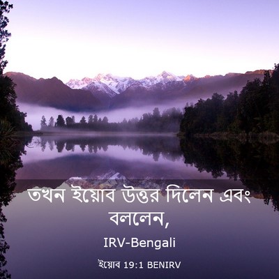 Picture 03 - ইয়োব 19:1 BENIRV - তখন ইয়োব উত্তর - Bible Verse Picture