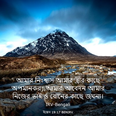 Picture 03 - ইয়োব 19:17 BENIRV - আমার নিঃশ্বাস - Bible Verse Picture