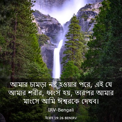 Picture 03 - ইয়োব 19:26 BENIRV - আমার চামড়া নষ্ট - Bible Verse Picture