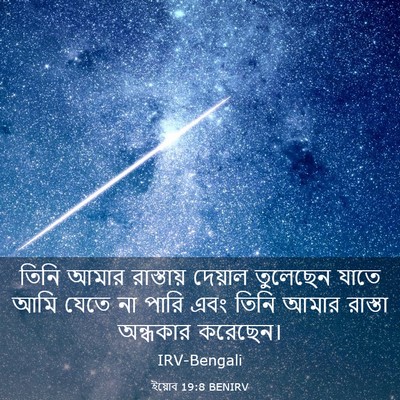 Picture 03 - ইয়োব 19:8 BENIRV - তিনি আমার - Bible Verse Picture