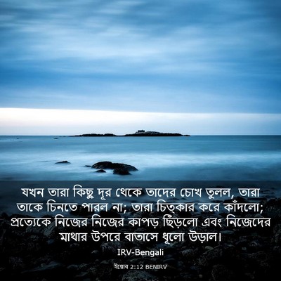 Picture 03 - ইয়োব 2:12 BENIRV - যখন তারা কিছু দূর - Bible Verse Picture