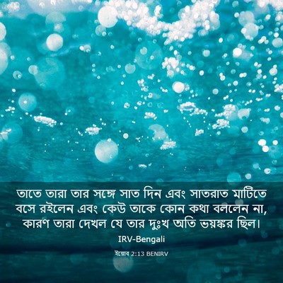 Picture 03 - ইয়োব 2:13 BENIRV - তাতে তারা তার - Bible Verse Picture