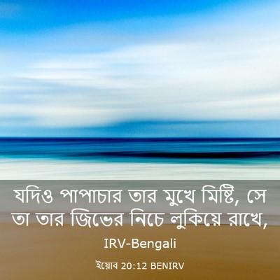 Picture 03 - ইয়োব 20:12 BENIRV - যদিও পাপাচার তার - Bible Verse Picture