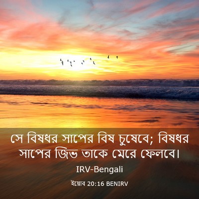 Picture 03 - ইয়োব 20:16 BENIRV - সে বিষধর সাপের বিষ - Bible Verse Picture