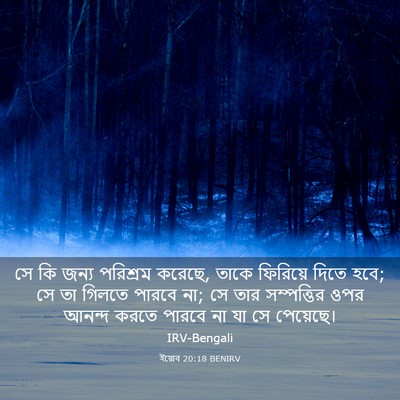Picture 03 - ইয়োব 20:18 BENIRV - সে কি জন্য পরিশ্রম - Bible Verse Picture