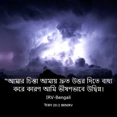 Picture 03 - ইয়োব 20:2 BENIRV - “আমার চিন্তা - Bible Verse Picture