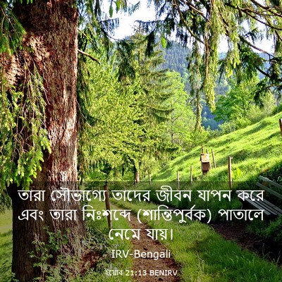 Picture 03 - ইয়োব 21:13 BENIRV - তারা সৌভাগ্যে - Bible Verse Picture