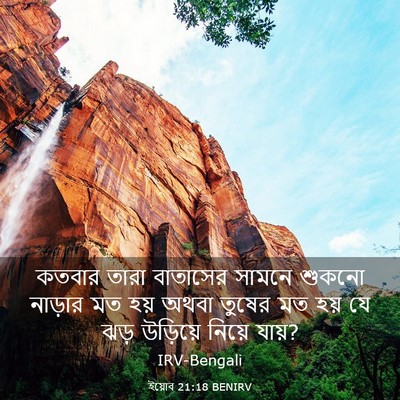 Picture 03 - ইয়োব 21:18 BENIRV - কতবার তারা - Bible Verse Picture