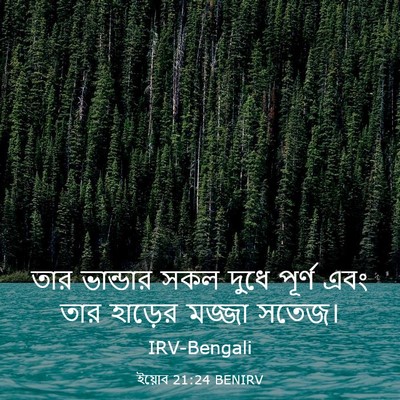 Picture 03 - ইয়োব 21:24 BENIRV - তার ভান্ডার সকল - Bible Verse Picture