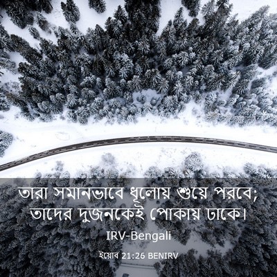 Picture 03 - ইয়োব 21:26 BENIRV - তারা সমানভাবে - Bible Verse Picture