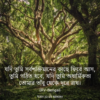 Picture 03 - ইয়োব 22:23 BENIRV - যদি তুমি - Bible Verse Picture